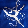 Gerätenhülle von Grishko col. Royal-Blue Art. BU0431